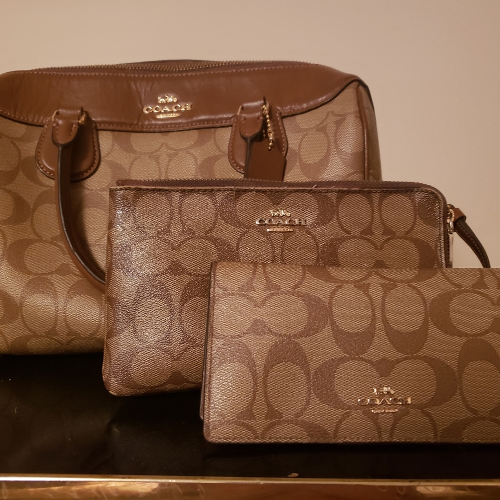 Purse and wallet
